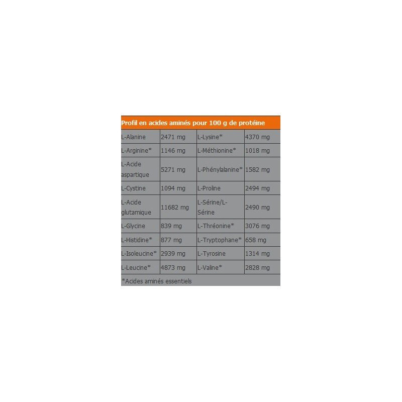 IRON WORKS - First Iron Systems (2.2 Kg)